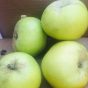 Bramley apples grown and delivered locally in hove