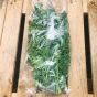 A bag of kale superfood