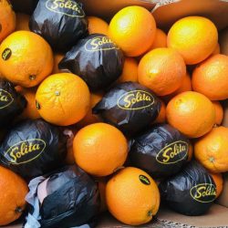Satsumas packaged and delivered locally in Hove