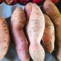 Sweet Potatoes