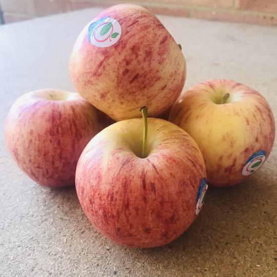 Royal Gala Apples