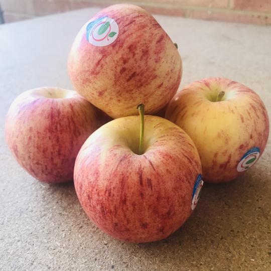 Royal Gala Apples