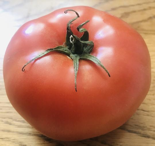 Beef Tomato
