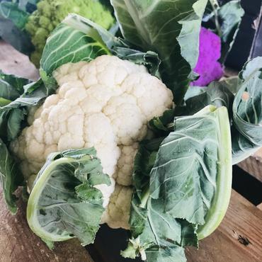White Cauliflower White Cauliflower