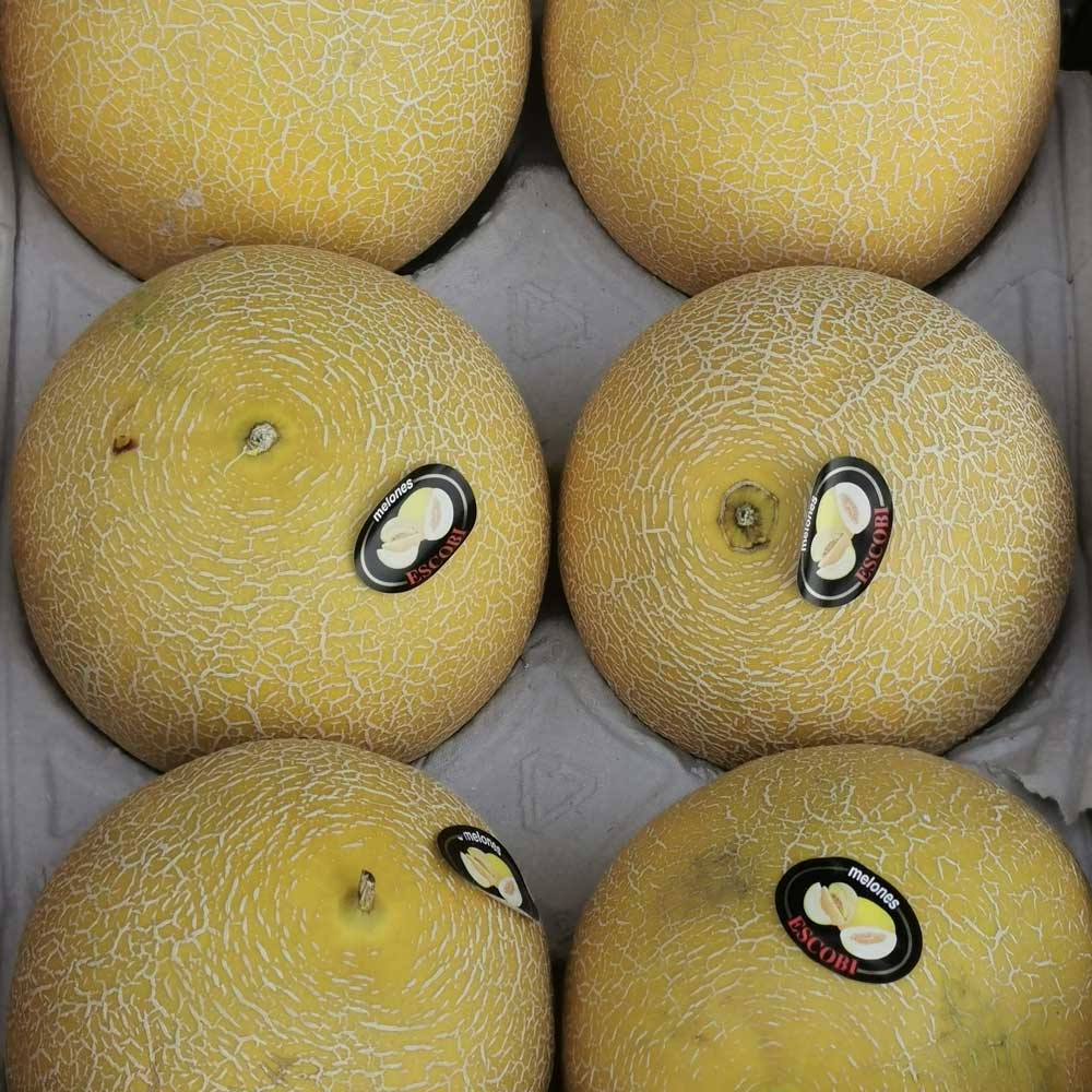 Galia Melons