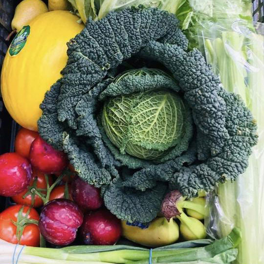 Large box with cabbage, melon, nectarines, bananas, tomatoes, celery, pears, spring onions