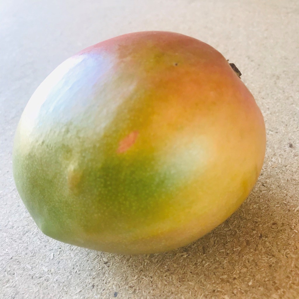 Ripe mango ready to eat