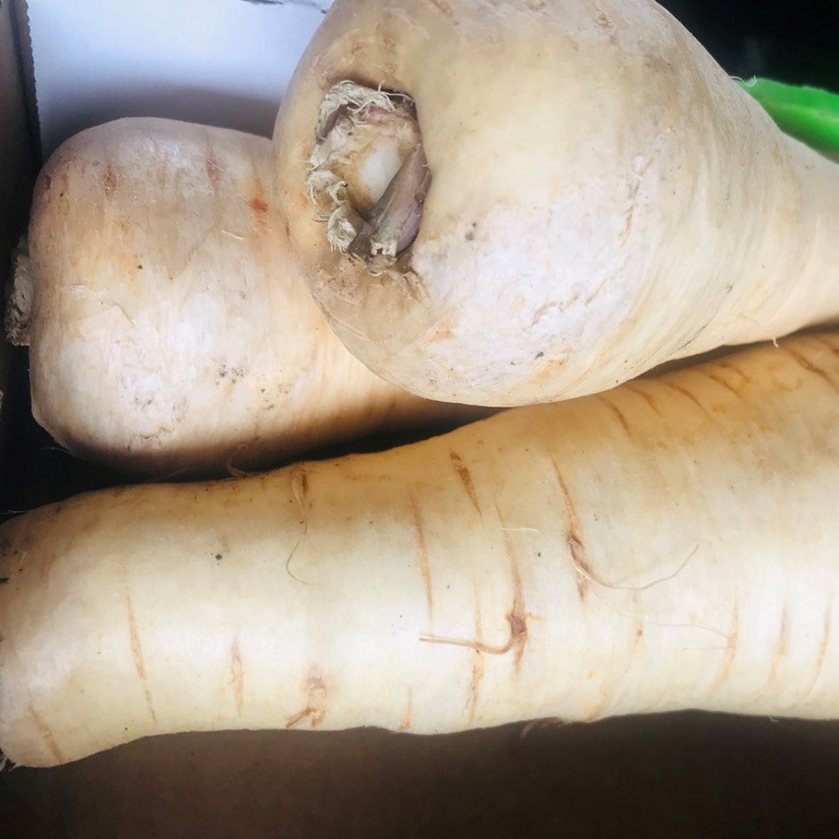 Parsnips grown in the UK