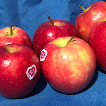 Pink Lady Apples