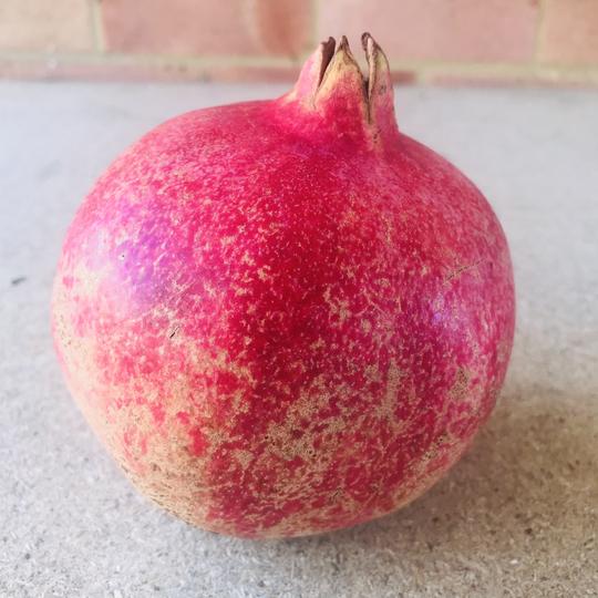 Pomegranate
