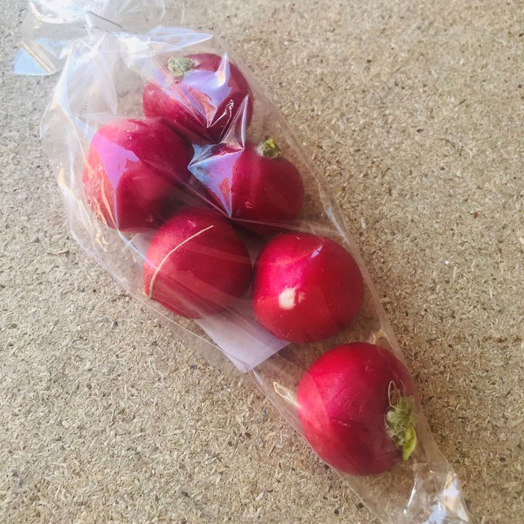 Pre-packaged fresh raddishes