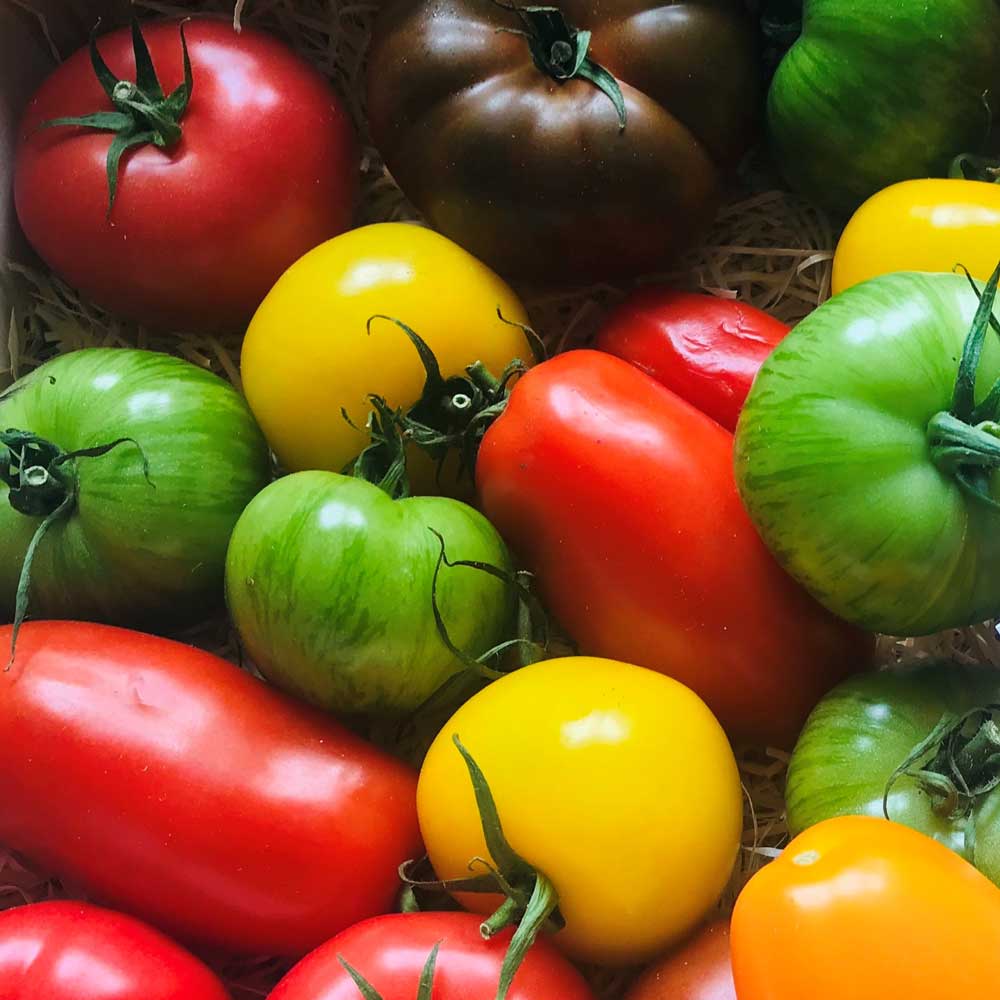 Crate of Heirloom Tomatoes