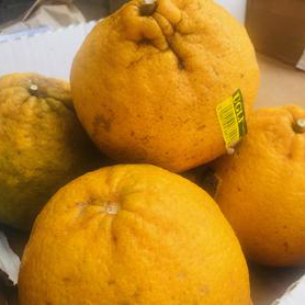 Ugli Fruit