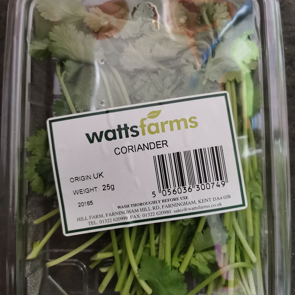 A punnet of fresh coriander herbs farm grown