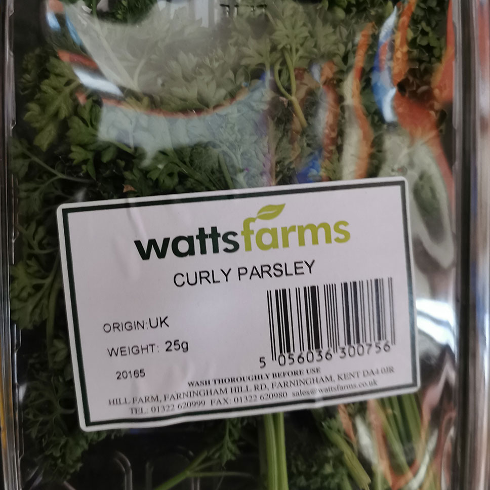 A punnet of fresh curly leaf parsley herbs locally farm grown