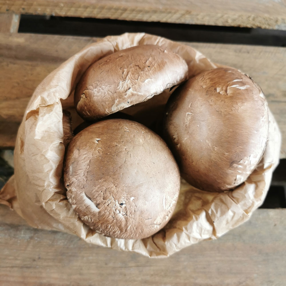 Portobello Mushroom