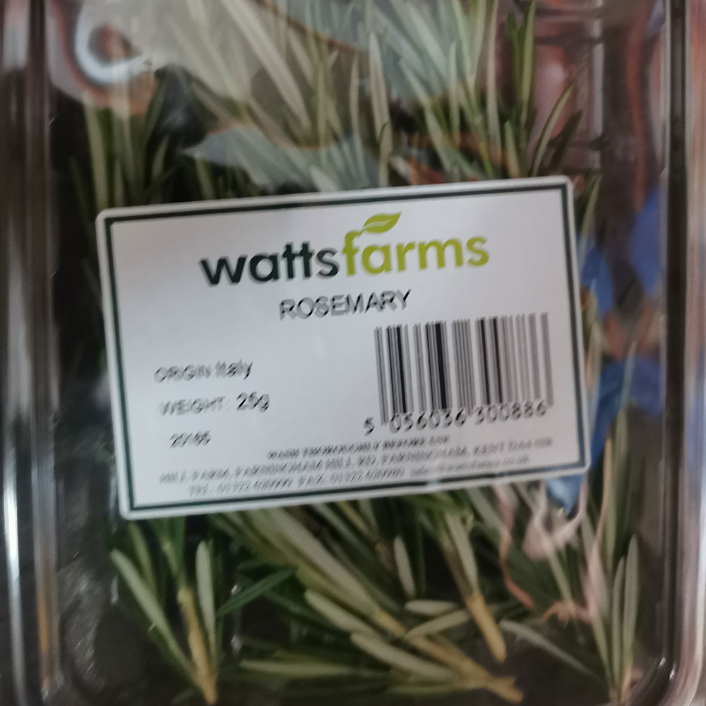 A punnet of fresh rosemary herb farm grown