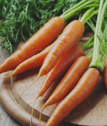 Carrots fresh and raw