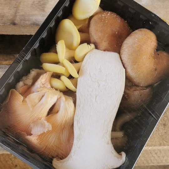 A punnet of mixed exotic mushrooms