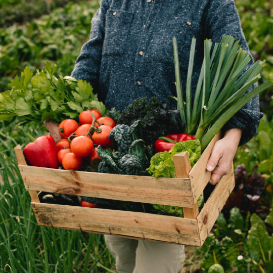 Farmer carrying crate of fresh UK grown fruit and veg Farmer carrying crate of fresh UK grown fruit and veg