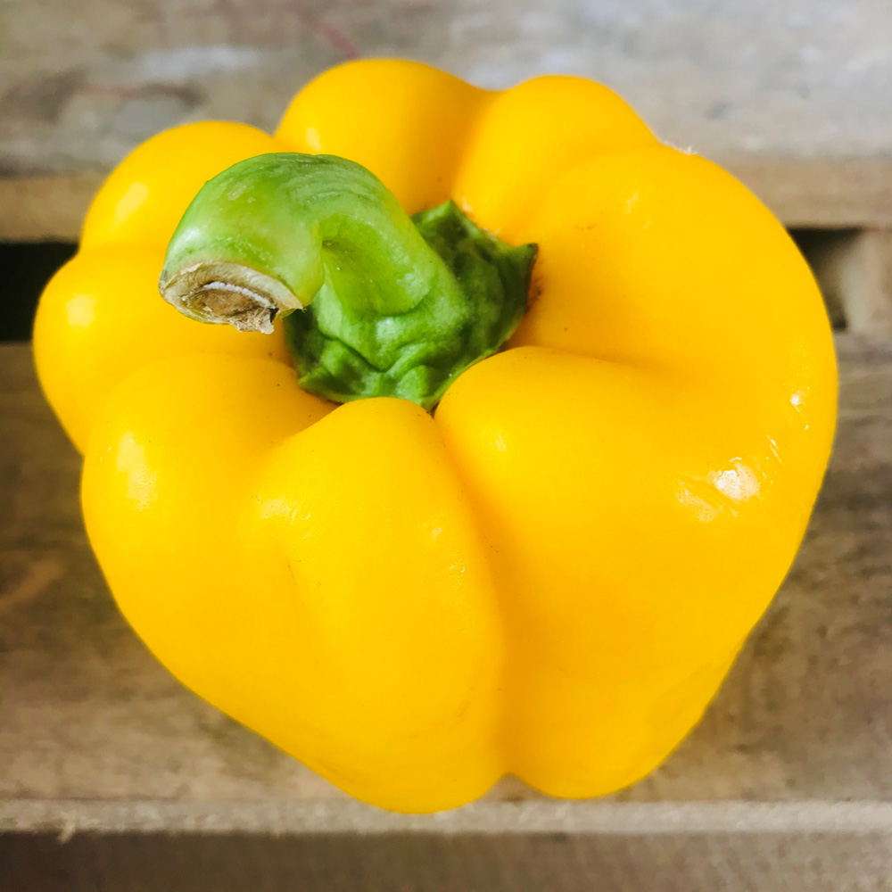 Yellow bell pepper