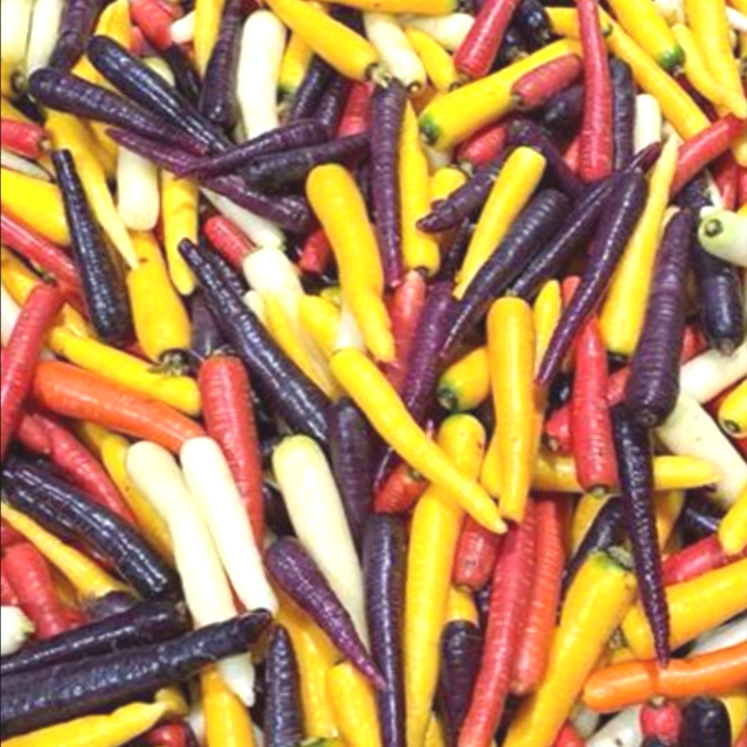 Rainbow Carrots