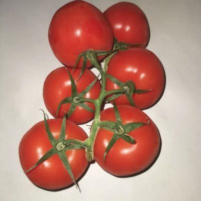Vine Tomatoes