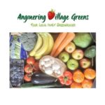 Weekly Subscription Box